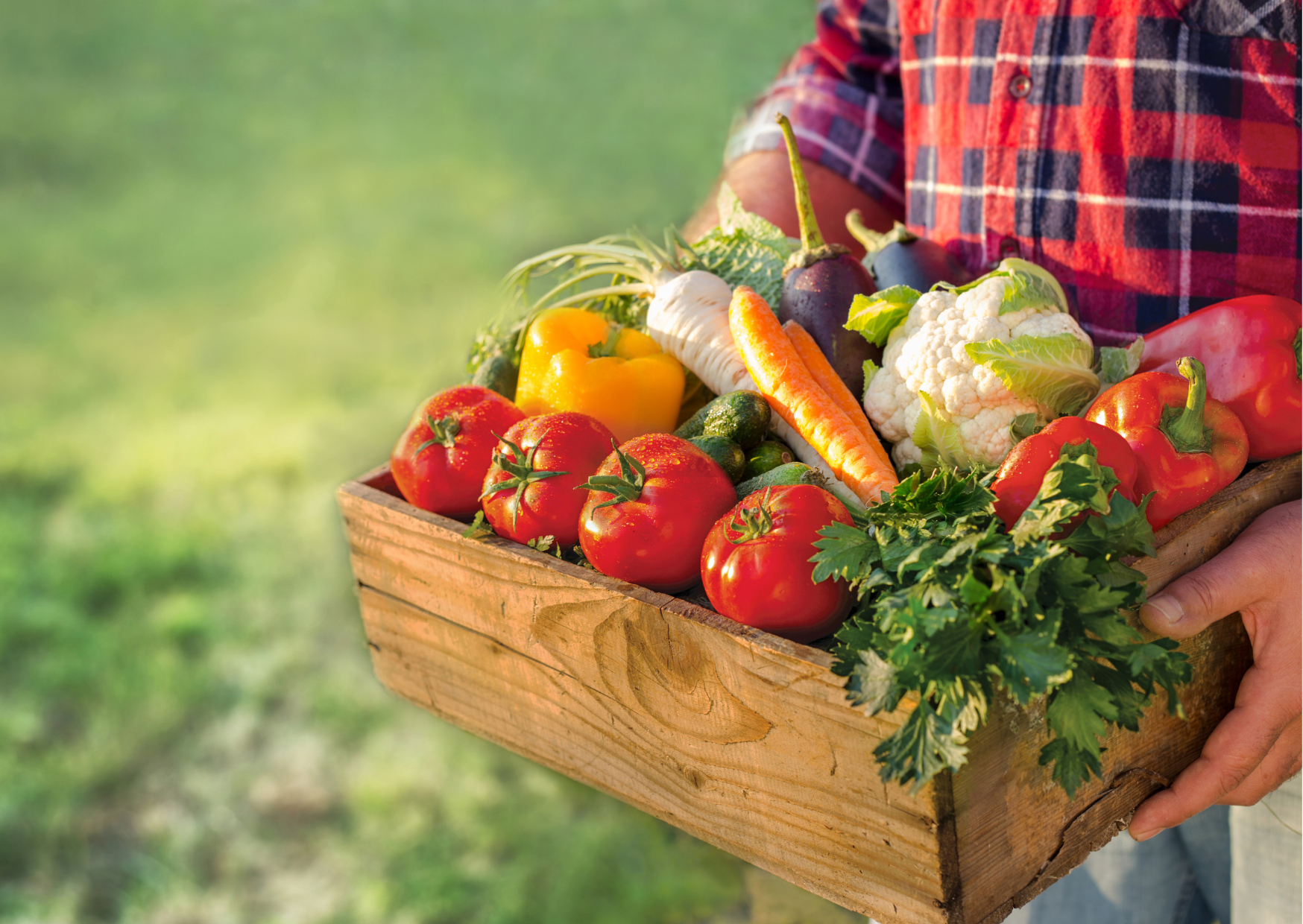 Read more about the article Miks on probiootikumid olulised?